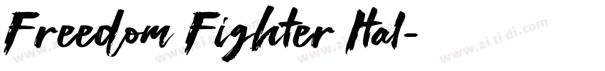 Freedom Fighter Ital字体转换 Freedom Fighter Ital字体转换